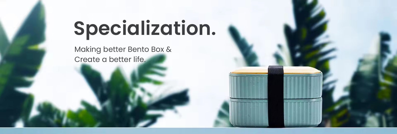 καλαθάκι με φαγητό bento